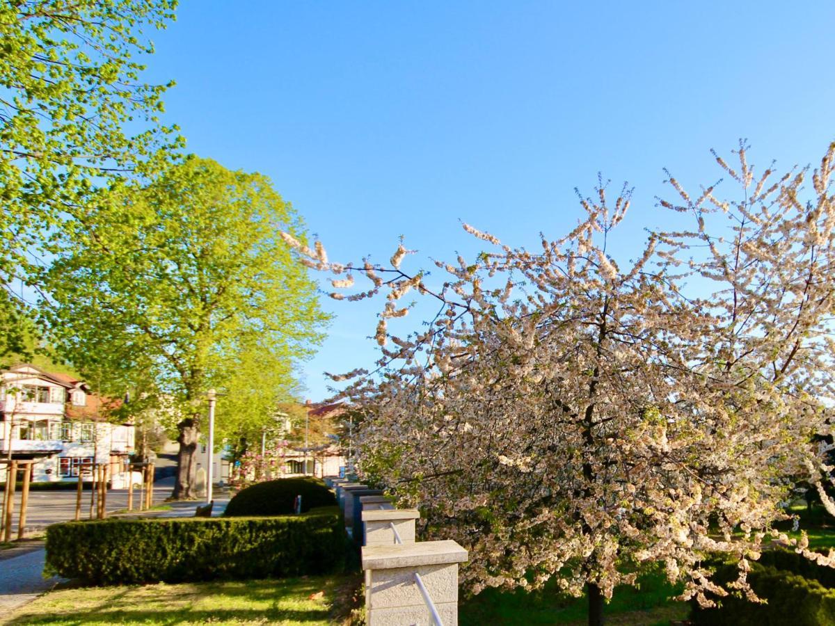Pension Kurhausblick Bad Suderode Esterno foto